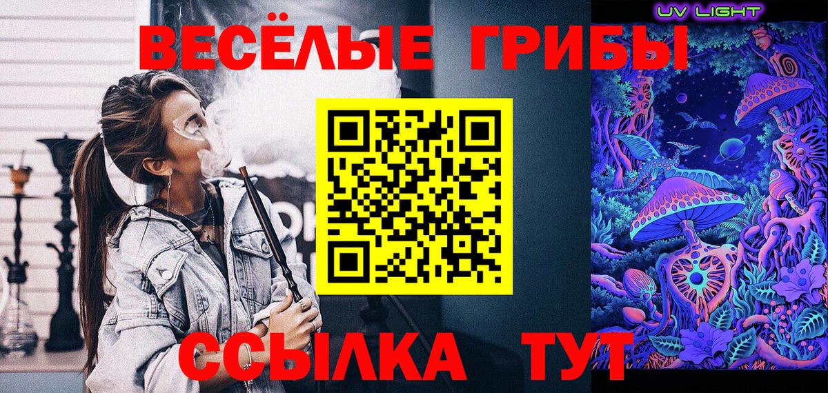 Новодвинск  Псилоцибиновые грибы прущие грибы  Вход с VPN  хочу   Псилоцибиновые грибы GOLDEN TEACHER 